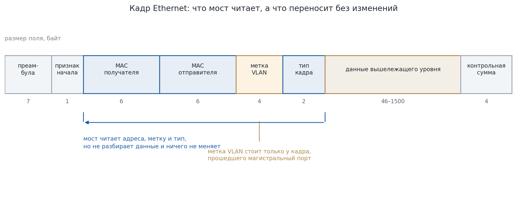 Строение кадра Ethernet с выделенными полями адресов, метки виртуальной сети и поля данных