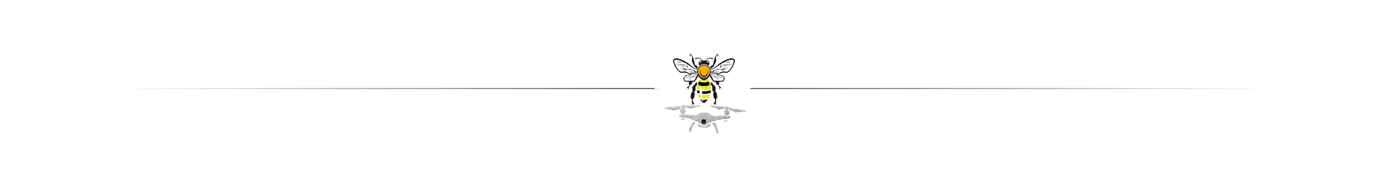 line100 bee